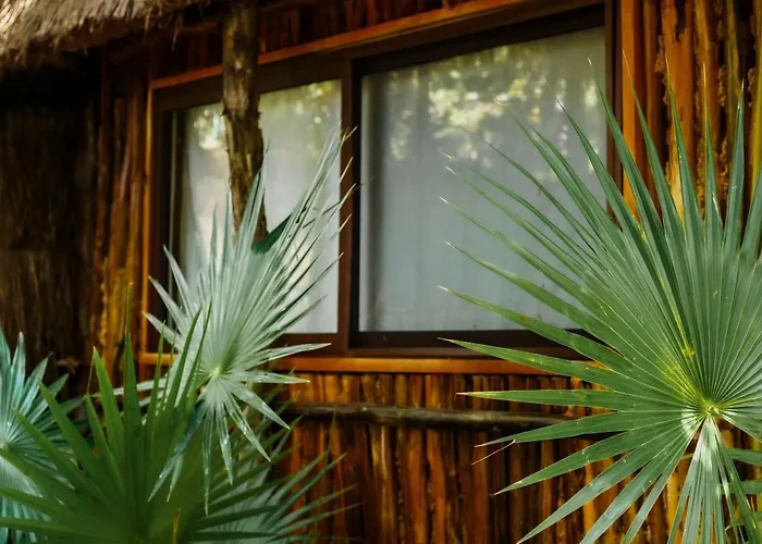 Eco Banitas *