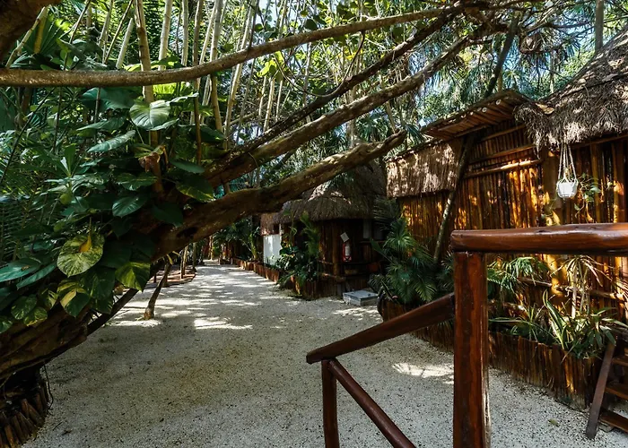 Eco Banitas * Tulum Pueblo