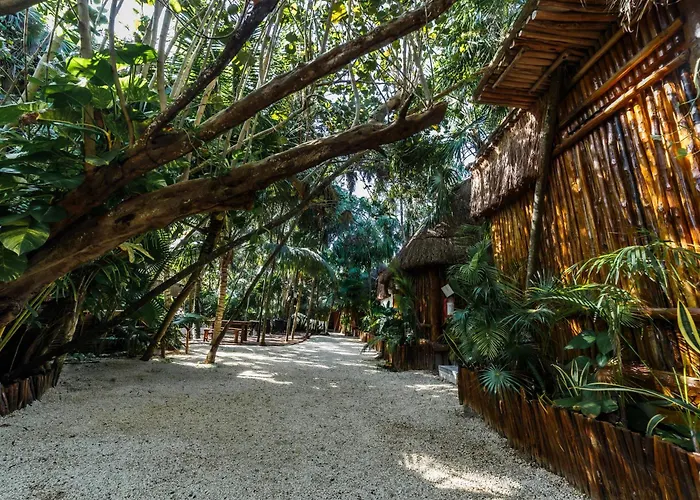 Eco Banitas *