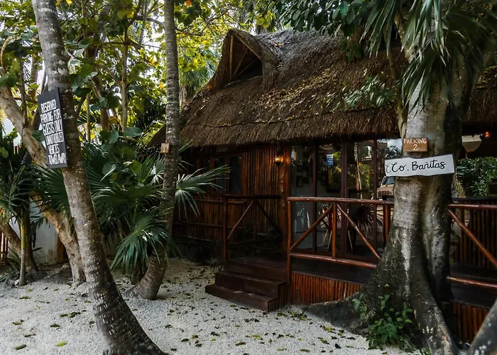 Eco Banitas Hotel