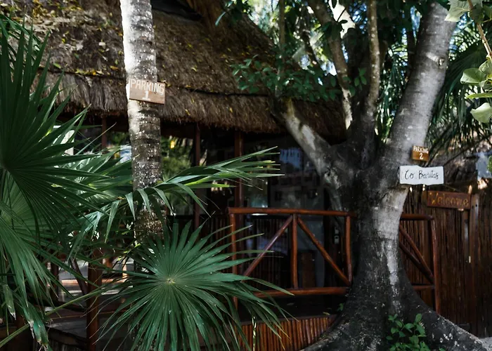 Hotel Eco Banitas *