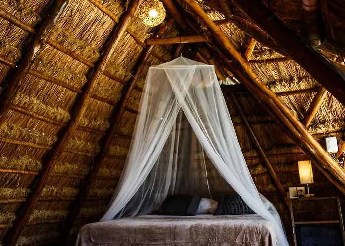 Hotel Eco Banitas