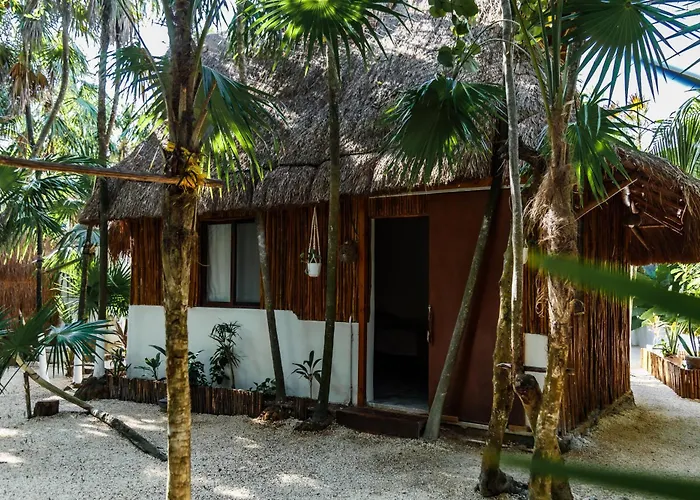 Eco Banitas
