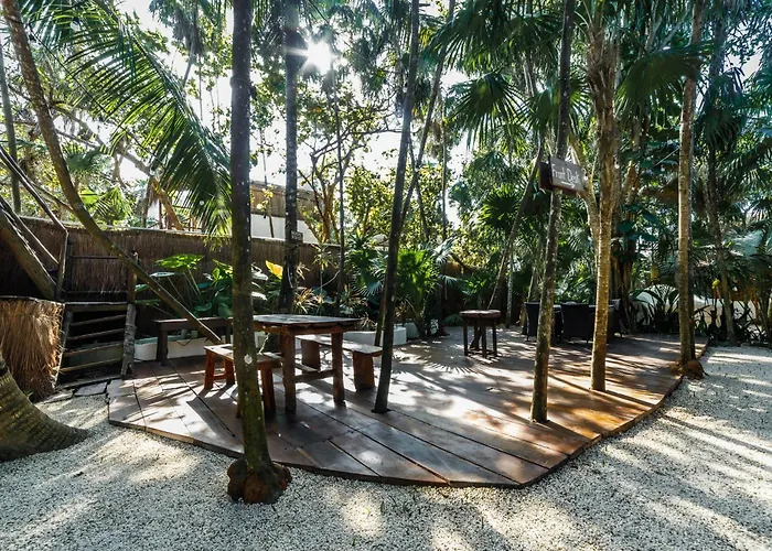 Eco Banitas Hotel