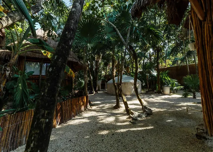 Eco Banitas *
