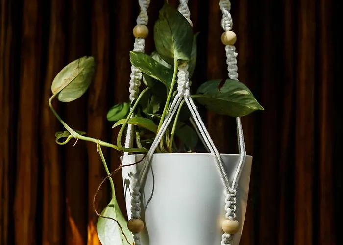 Eco Banitas Tulum
