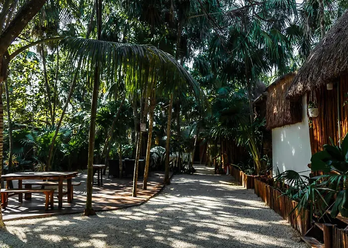 Hotel Eco Banitas *