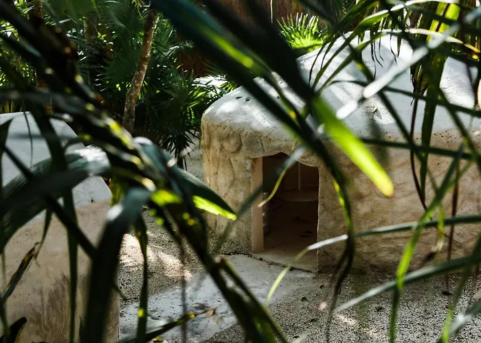 Eco Banitas