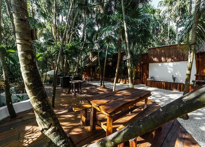 Hotel Eco Banitas *