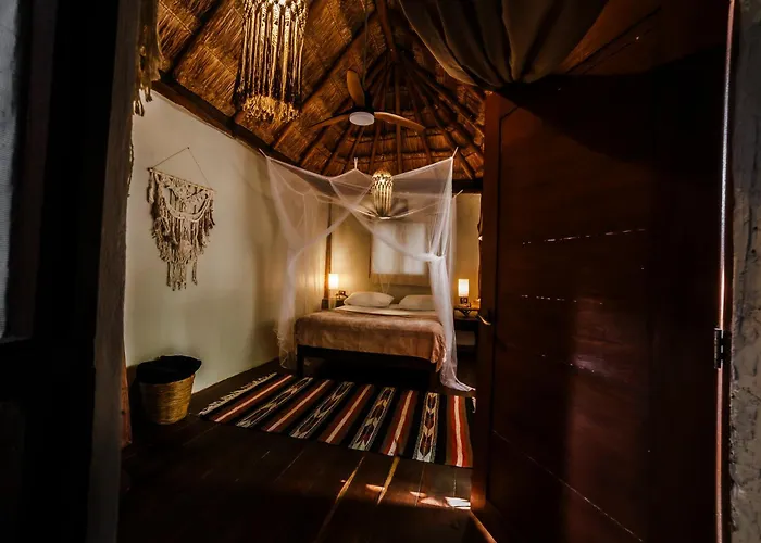 Eco Banitas