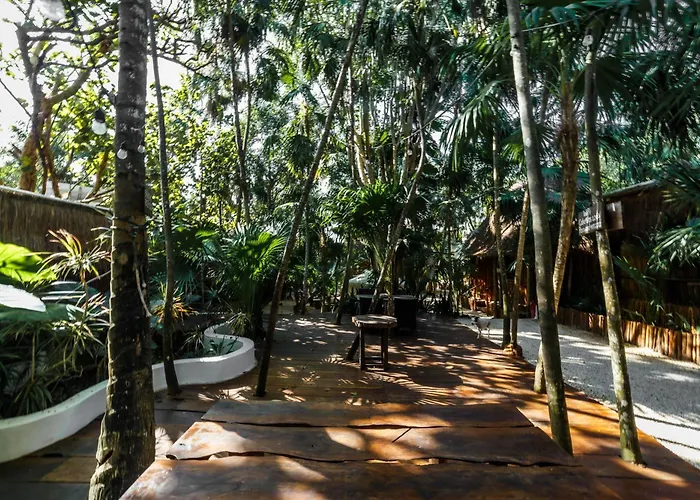 Eco Banitas Hotel