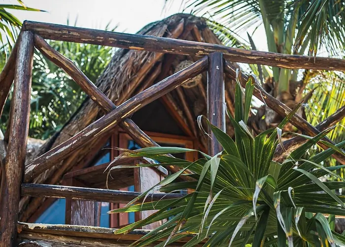 Eco Banitas Hotel *