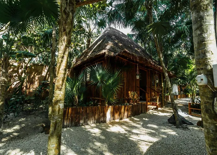 Eco Banitas *