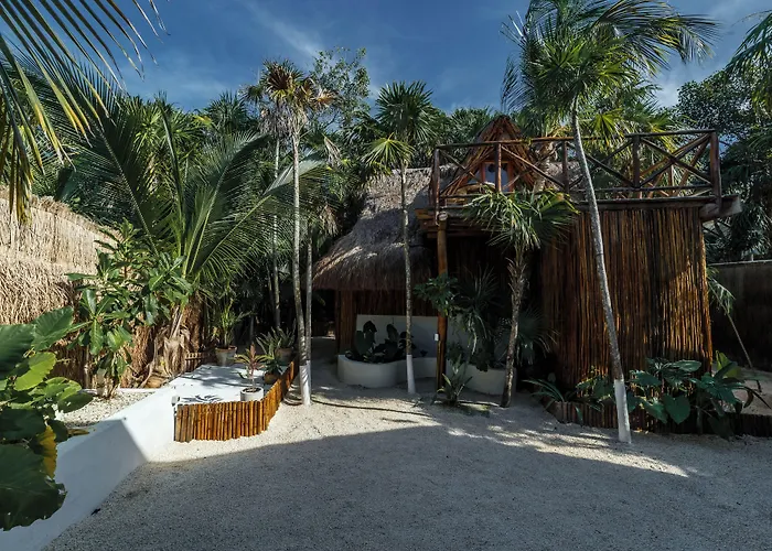 Eco Banitas *