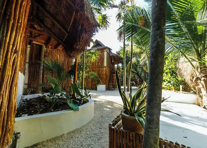 Eco Banitas