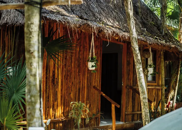 Eco Banitas