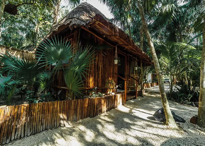 Eco Banitas