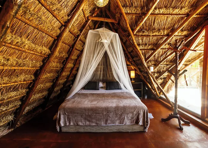 Eco Banitas *