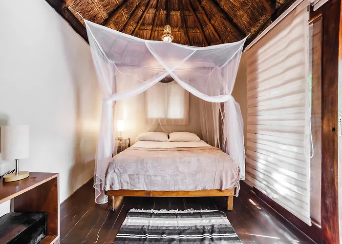 Eco Banitas Hotel *