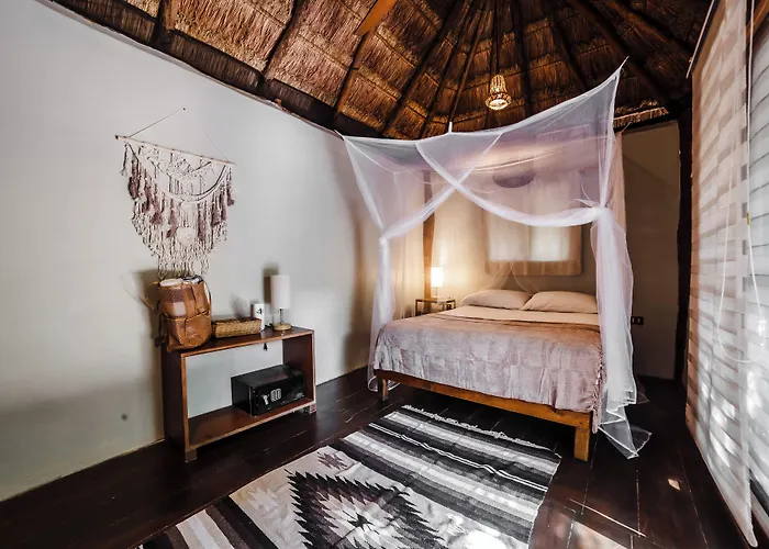 Eco Banitas *