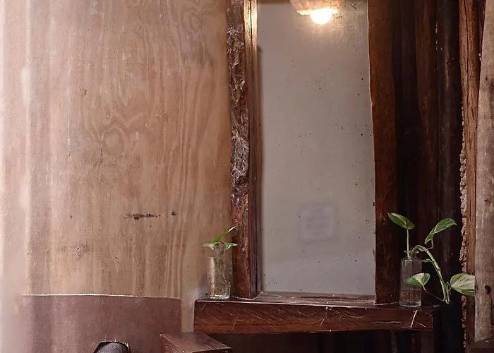 Eco Banitas