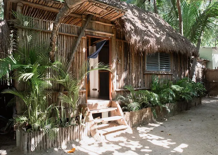 Eco Banitas *
